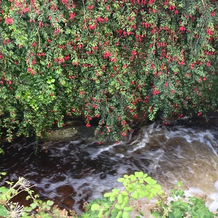 Affittacamere An Portán