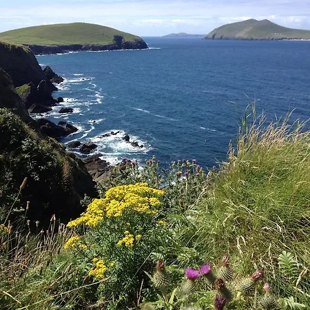 An Portan Penzion Dunquin