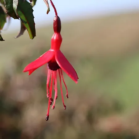Affittacamere An Portán
