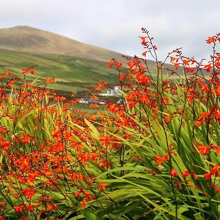 An Portan 게스트하우스 Dunquin