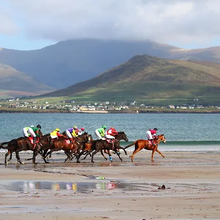 게스트하우스 An Portan 3*